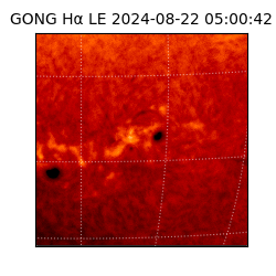 gong - 2024-08-22T05:00:42