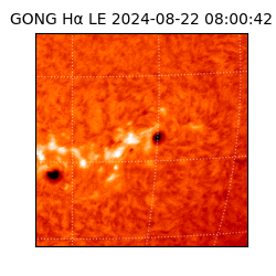 gong - 2024-08-22T08:00:42