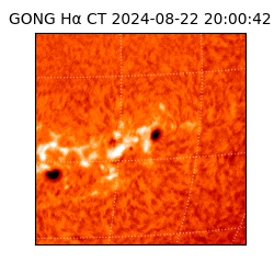 gong - 2024-08-22T20:00:42