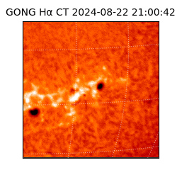 gong - 2024-08-22T21:00:42