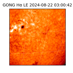 gong - 2024-08-22T03:00:42