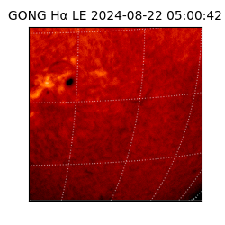 gong - 2024-08-22T05:00:42