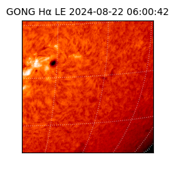 gong - 2024-08-22T06:00:42