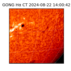 gong - 2024-08-22T14:00:42