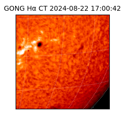 gong - 2024-08-22T17:00:42