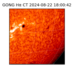 gong - 2024-08-22T18:00:42