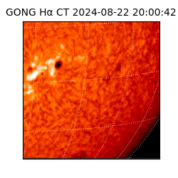 gong - 2024-08-22T20:00:42