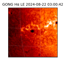 gong - 2024-08-22T03:00:42