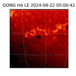 gong - 2024-08-22T05:00:42