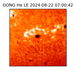 gong - 2024-08-22T07:00:42