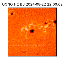 gong - 2024-08-22T22:00:02