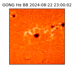 gong - 2024-08-22T23:00:02