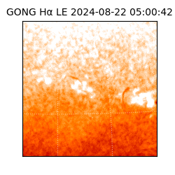 gong - 2024-08-22T05:00:42