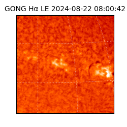 gong - 2024-08-22T08:00:42