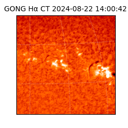 gong - 2024-08-22T14:00:42