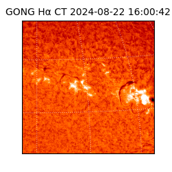 gong - 2024-08-22T16:00:42