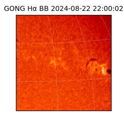 gong - 2024-08-22T22:00:02