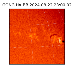 gong - 2024-08-22T23:00:02