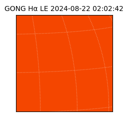 gong - 2024-08-22T02:02:42