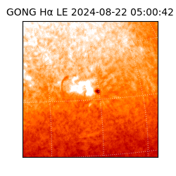 gong - 2024-08-22T05:00:42