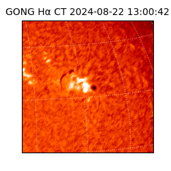 gong - 2024-08-22T13:00:42