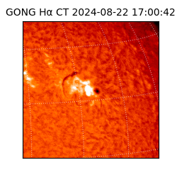 gong - 2024-08-22T17:00:42
