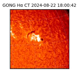 gong - 2024-08-22T18:00:42
