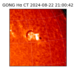 gong - 2024-08-22T21:00:42