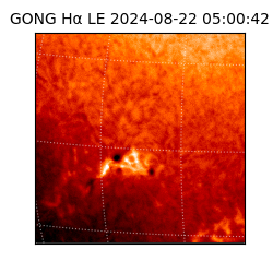gong - 2024-08-22T05:00:42