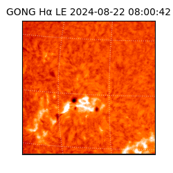gong - 2024-08-22T08:00:42