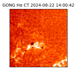 gong - 2024-08-22T14:00:42