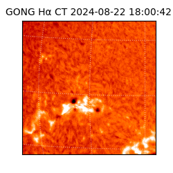 gong - 2024-08-22T18:00:42