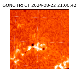 gong - 2024-08-22T21:00:42