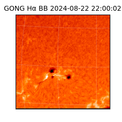 gong - 2024-08-22T22:00:02