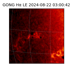 gong - 2024-08-22T03:00:42