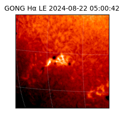 gong - 2024-08-22T05:00:42