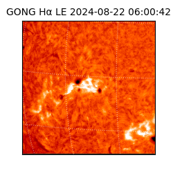 gong - 2024-08-22T06:00:42
