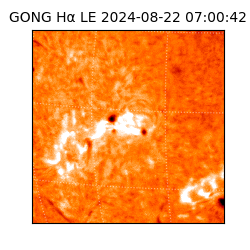 gong - 2024-08-22T07:00:42