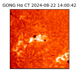 gong - 2024-08-22T14:00:42