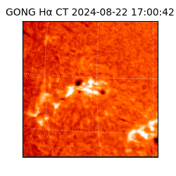 gong - 2024-08-22T17:00:42