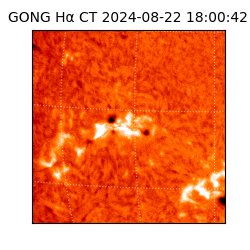 gong - 2024-08-22T18:00:42
