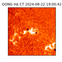 gong - 2024-08-22T19:00:42