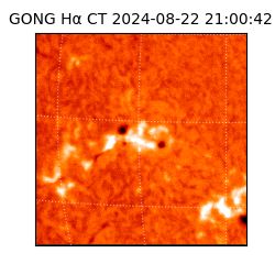 gong - 2024-08-22T21:00:42