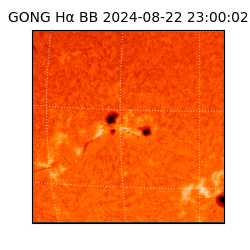 gong - 2024-08-22T23:00:02
