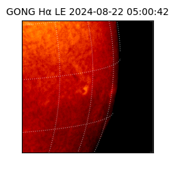 gong - 2024-08-22T05:00:42