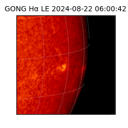 gong - 2024-08-22T06:00:42