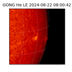 gong - 2024-08-22T08:00:42
