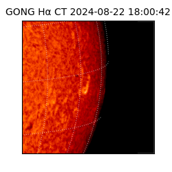 gong - 2024-08-22T18:00:42