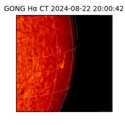 gong - 2024-08-22T20:00:42