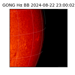 gong - 2024-08-22T23:00:02